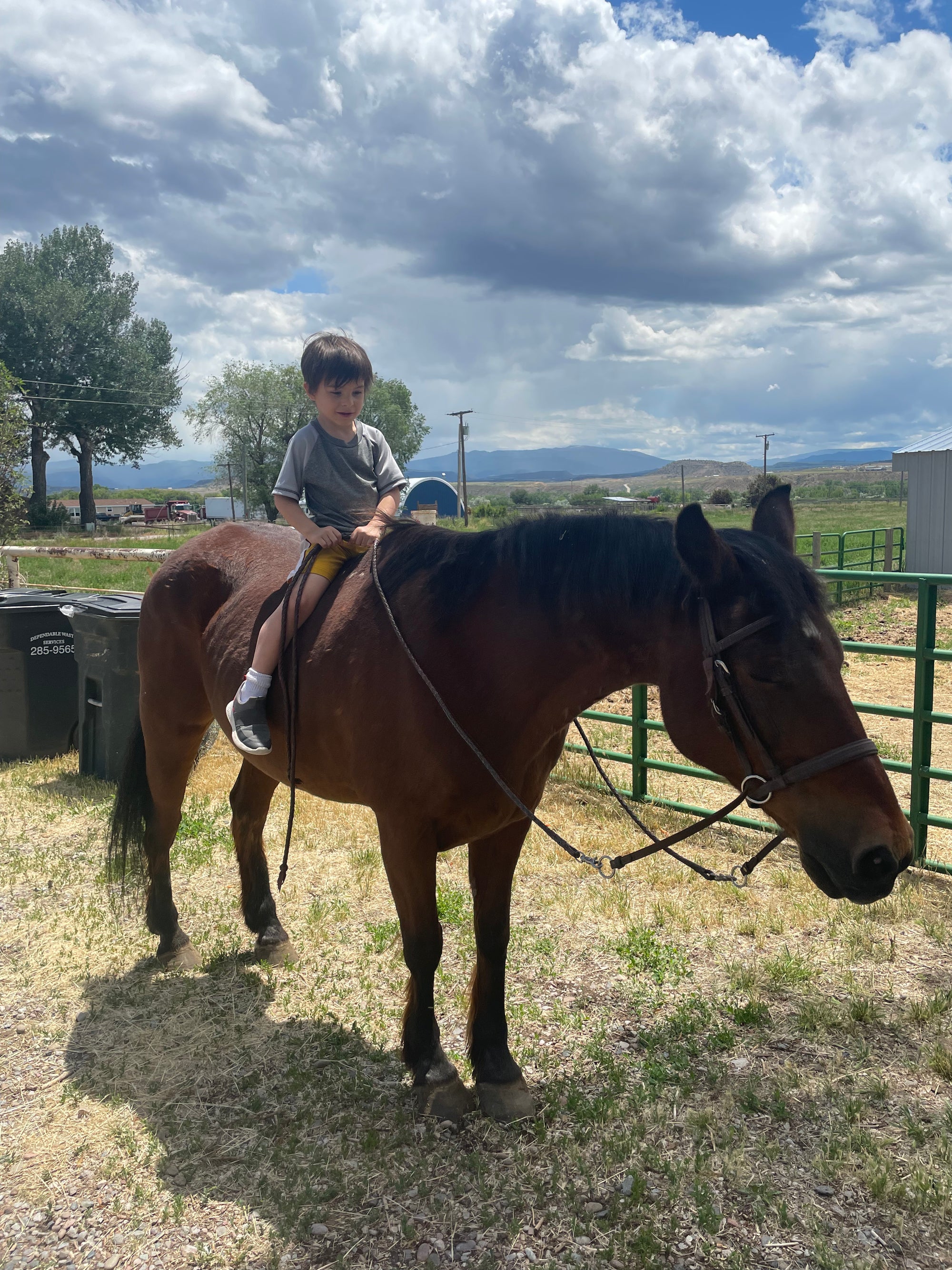 nature-preschool-glenwood-springs-free-range-kids-rfv